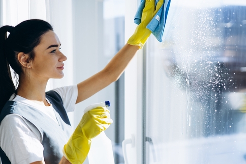 House Cleaning The Need for Speed