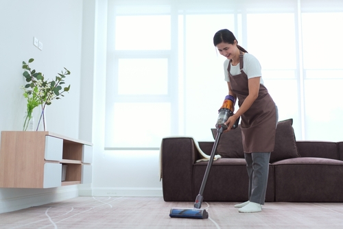 Who do I contact for expert maid services in Mission KS