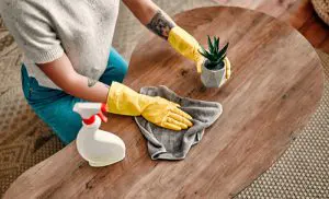Hard-to-Reach Cleaning Tips - How to Clean Small Spaces