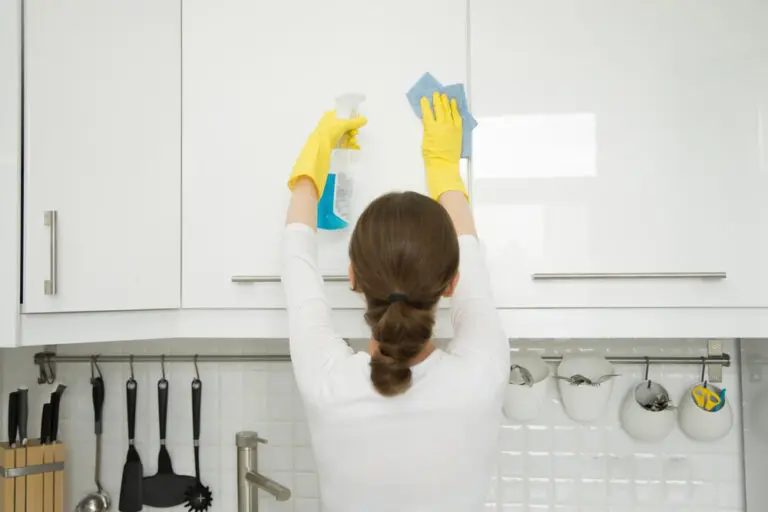 Do you live in Leawood, KS, and are looking for a professional house cleaner