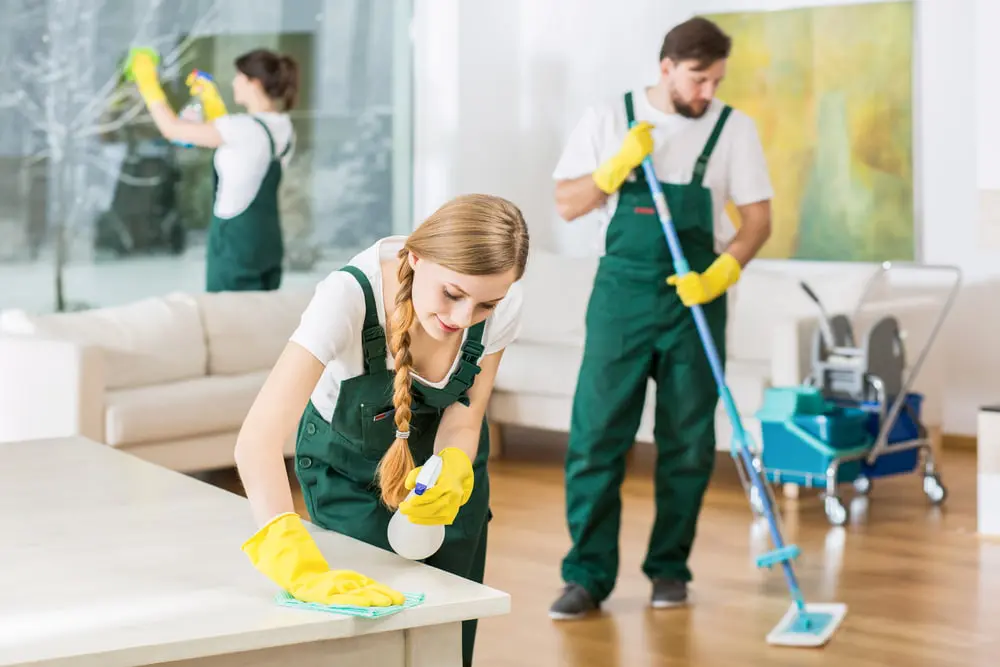 What should I expect from a cleaning service