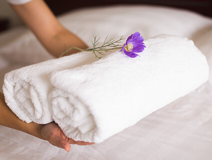 reputable cleaning company in overland park ks