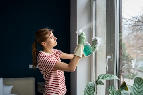 shawnee ks house cleaners