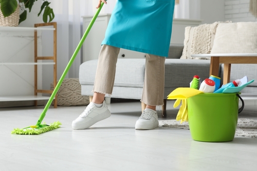Where can I find a comprehensive house cleaning service in Merriam, KS