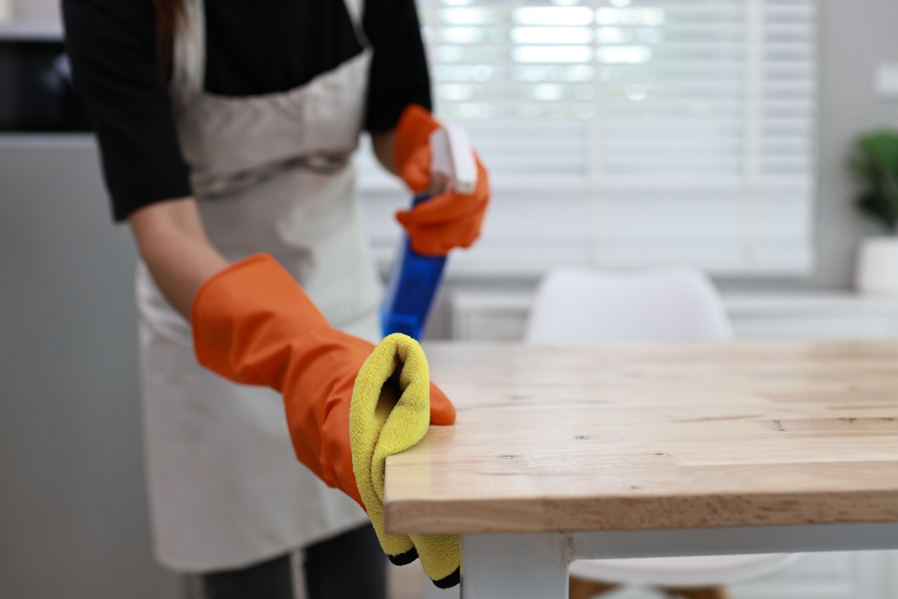 merriam ks maid service